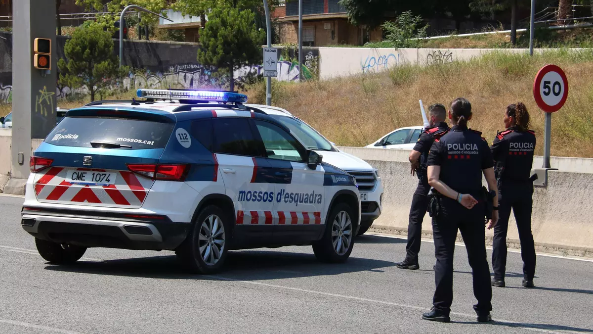 Trànsit ja multa: revisa milers de maleters de cotxes per comprovar que tothom porti aquest accessori