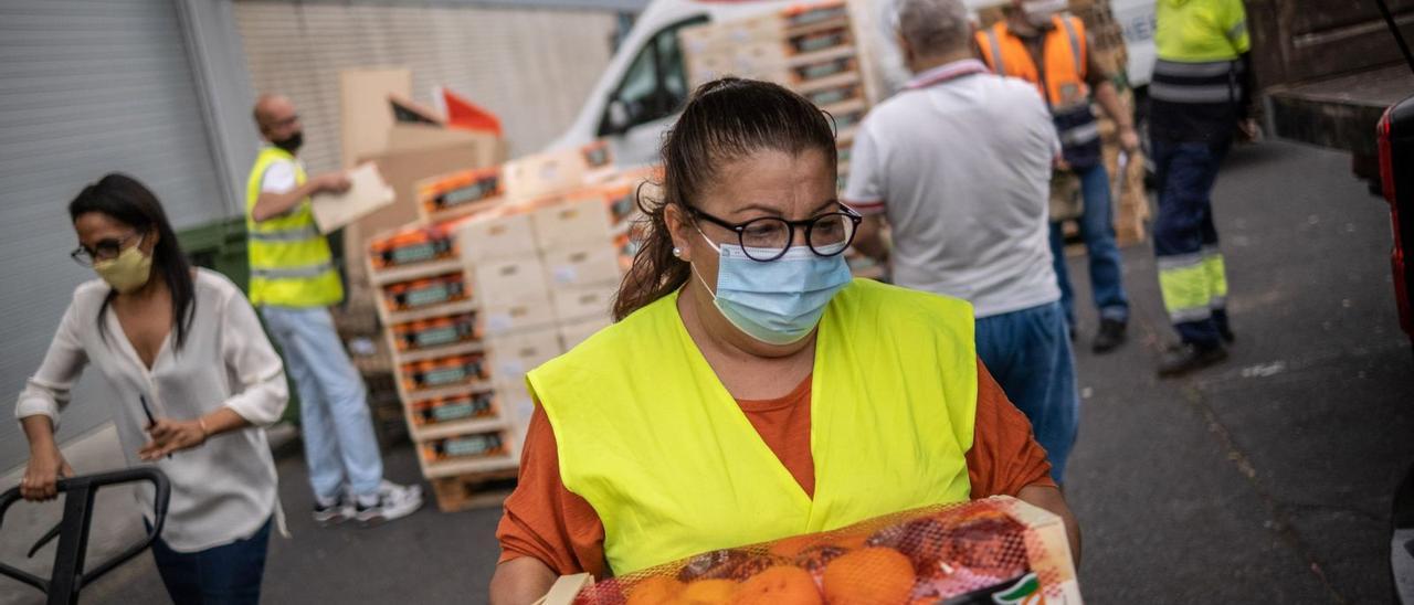 Un grupo de voluntarios transporta cajas de comida para personas desfavorecidas en el Banco de Alimentos de Tenerife.