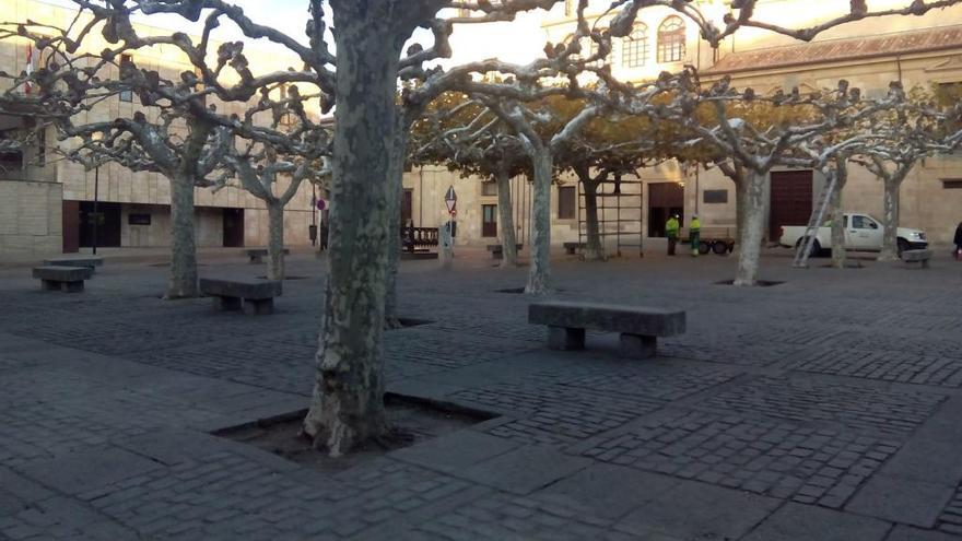 Plaza de Viriato en la mañana de este viernes.