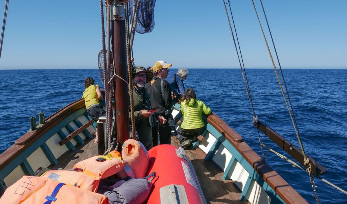 Participantes en la expedición que el 20 de agosto de 2023 disfrutó de la presencia de orcas en la ría de Arousa.