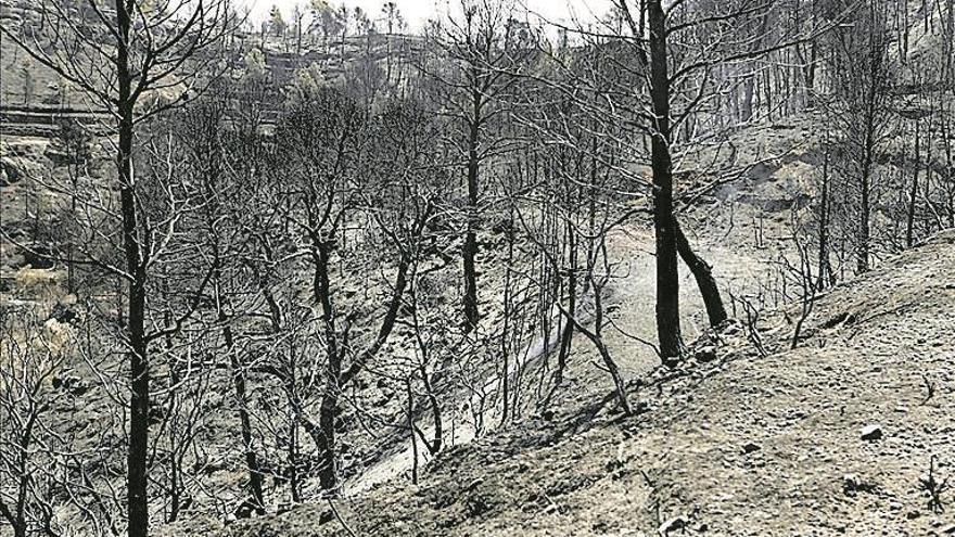 Dos pequeños focos retrasan la extinción del fuego del Ebro