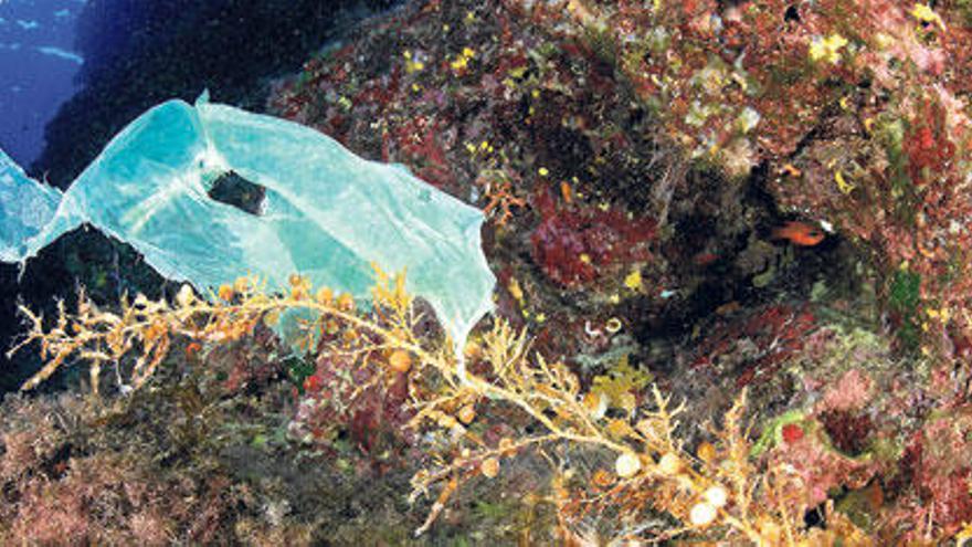 La mayor parte de las basuras flotantes o residuos encontrados en el mar están compuestas en un 97% por plásticos