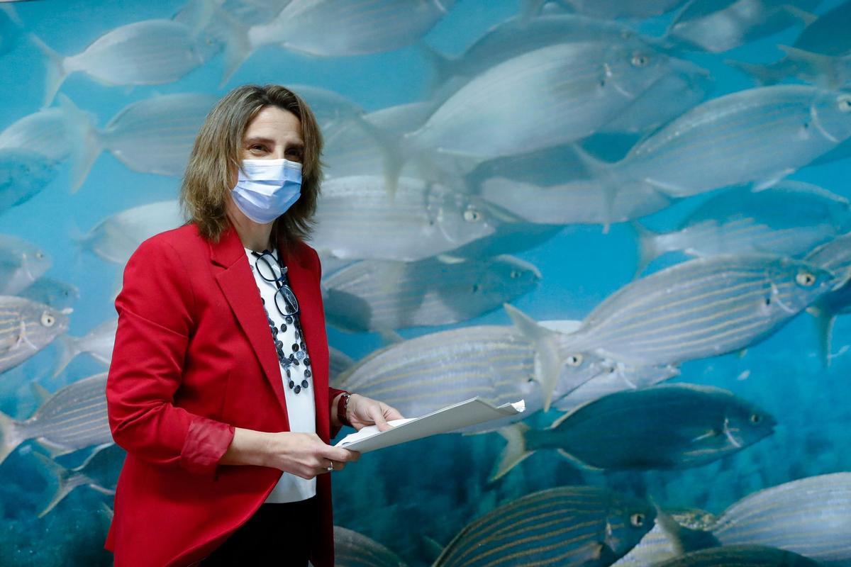 El Govern suma 100 milions al pla de recuperació del mar Menor