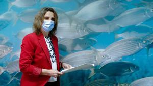 El Govern suma 100 milions al pla de recuperació del mar Menor