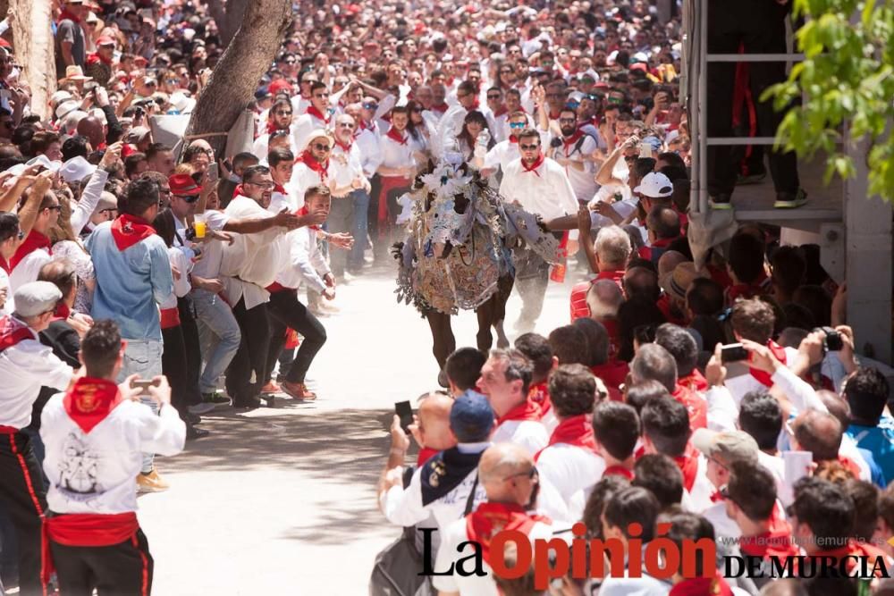 Carrera de los Caballos del Vino