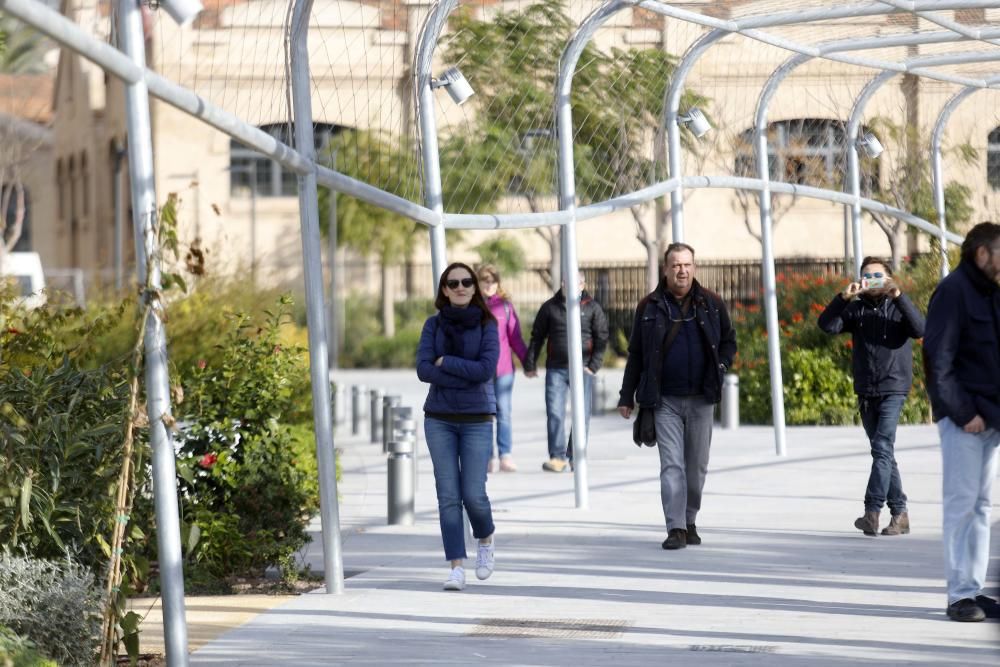 Abre el Parc Central de València