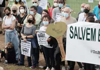 Más de 7.600 personas firman en contra del parque de aventuras en el bosque de Bellver