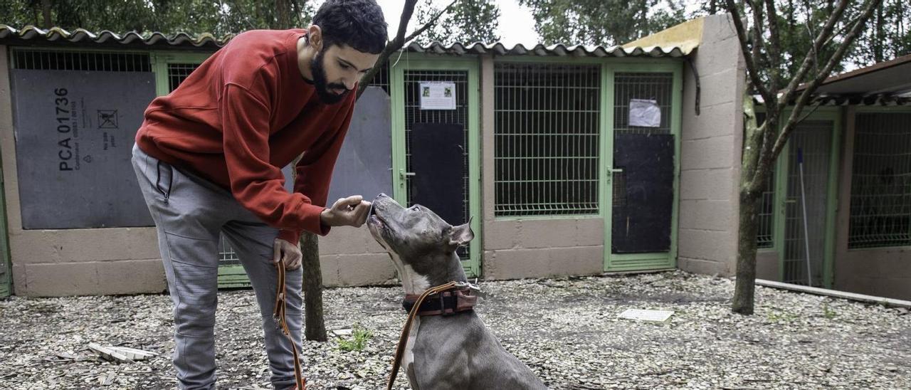 Un voluntario del refugio vigués Tú eres nuestra ayuda, con uno de los últimos perros acogidos.