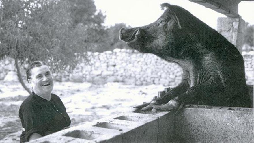 Catalina Guasch Ferrer y un verraco prodigioso.