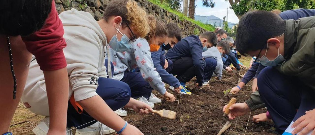 Escolares de La Orotava en un taller sobre arqueología