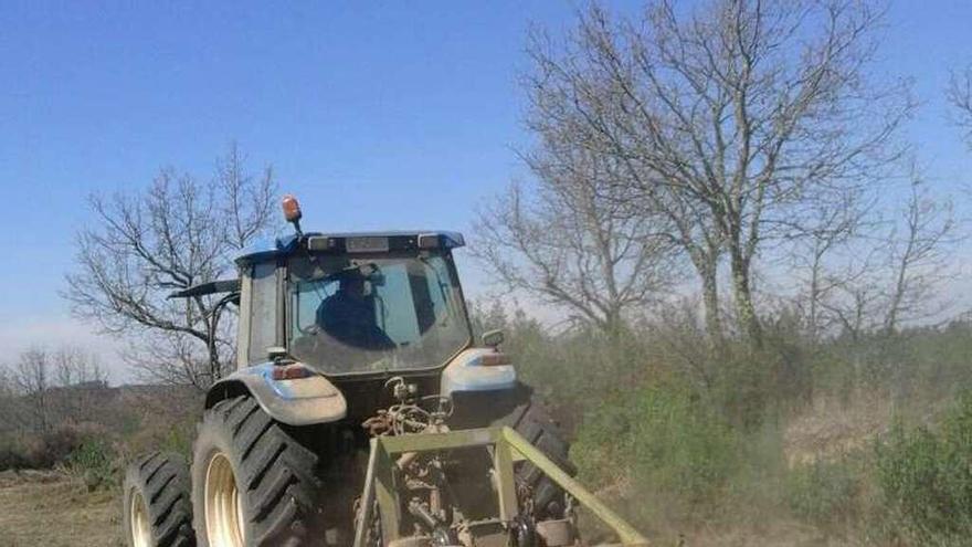 Trabajos de acondicionamiento en la frontera en el día de ayer.