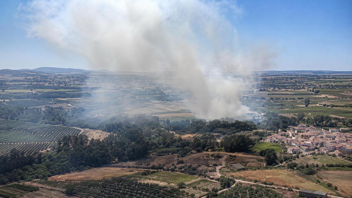 Declaran el nivel 1 en un incendio en Aldehuela del Jerte por su cercanía a edificaciones