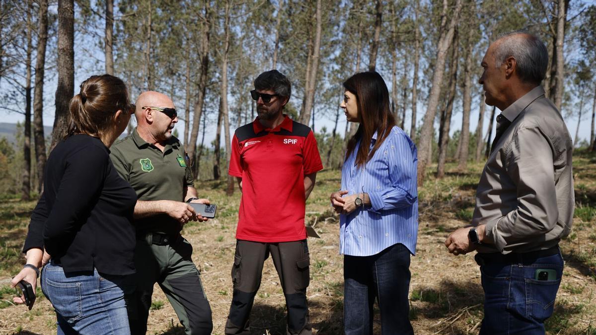 En Sixto, Forcarei, se realizaron actuaciones en una superficie de más de cinco hectáreas.