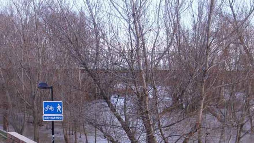 Zamora solo recibirá ayuda para los cauces tras las inundaciones