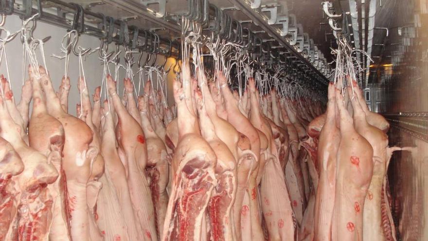 Un nuevo mercado se abre para la carne de cerdo.