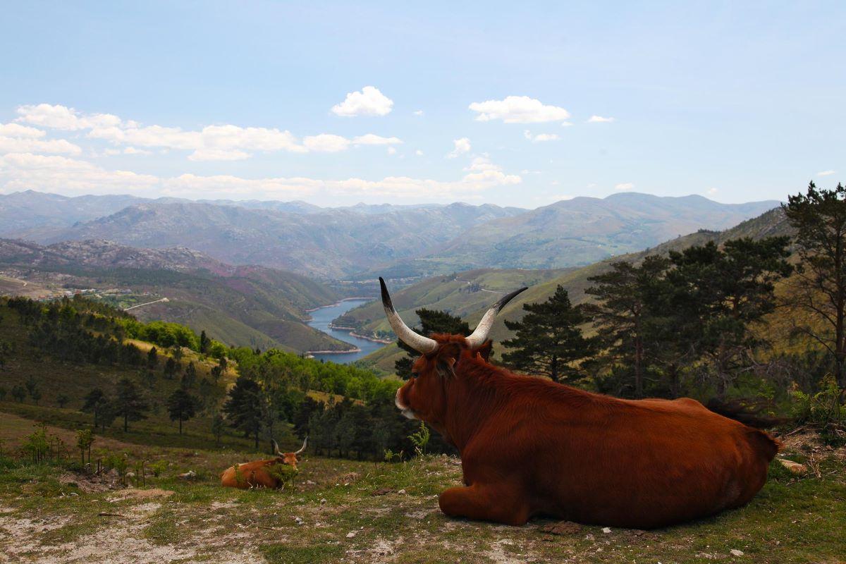 Vista desde el miradouro de Tibo.