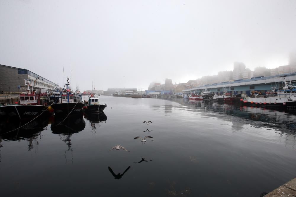 El cielo del sur de Galicia ha ido perdiendo poco a poco la presencia del sol hasta que la niebla lo ha tomado por completo