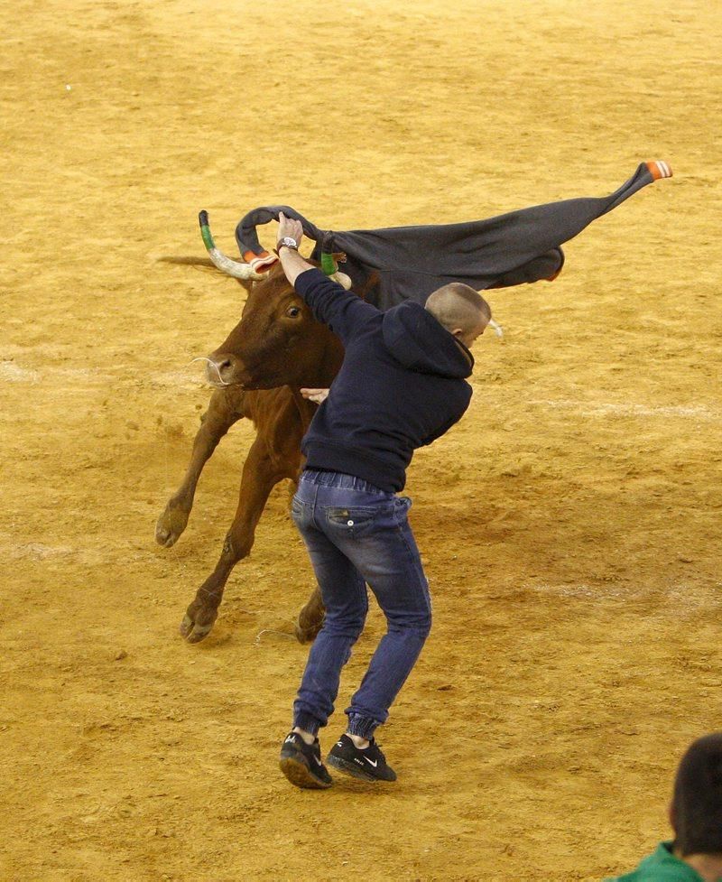 Primera mañana de vaquillas