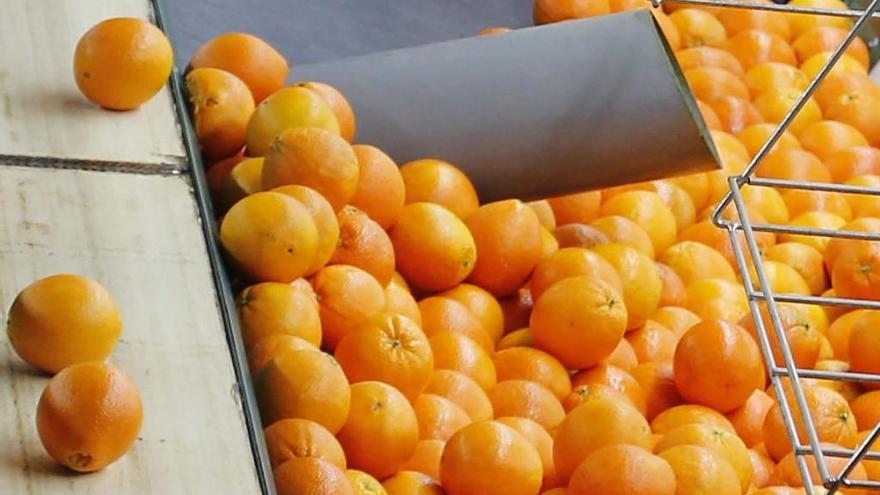 Naranjas valencianas en todos los Carrefour de España