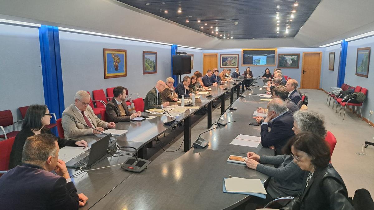 El pleno de la CUOTA celebrado este jueves en Oviedo.