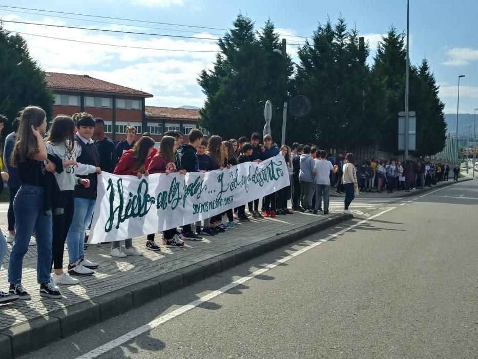 Alumnos del Colegio Montedeva de Gijón