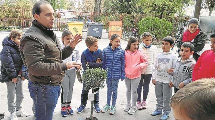 Una campaña difunde los valores de los árboles