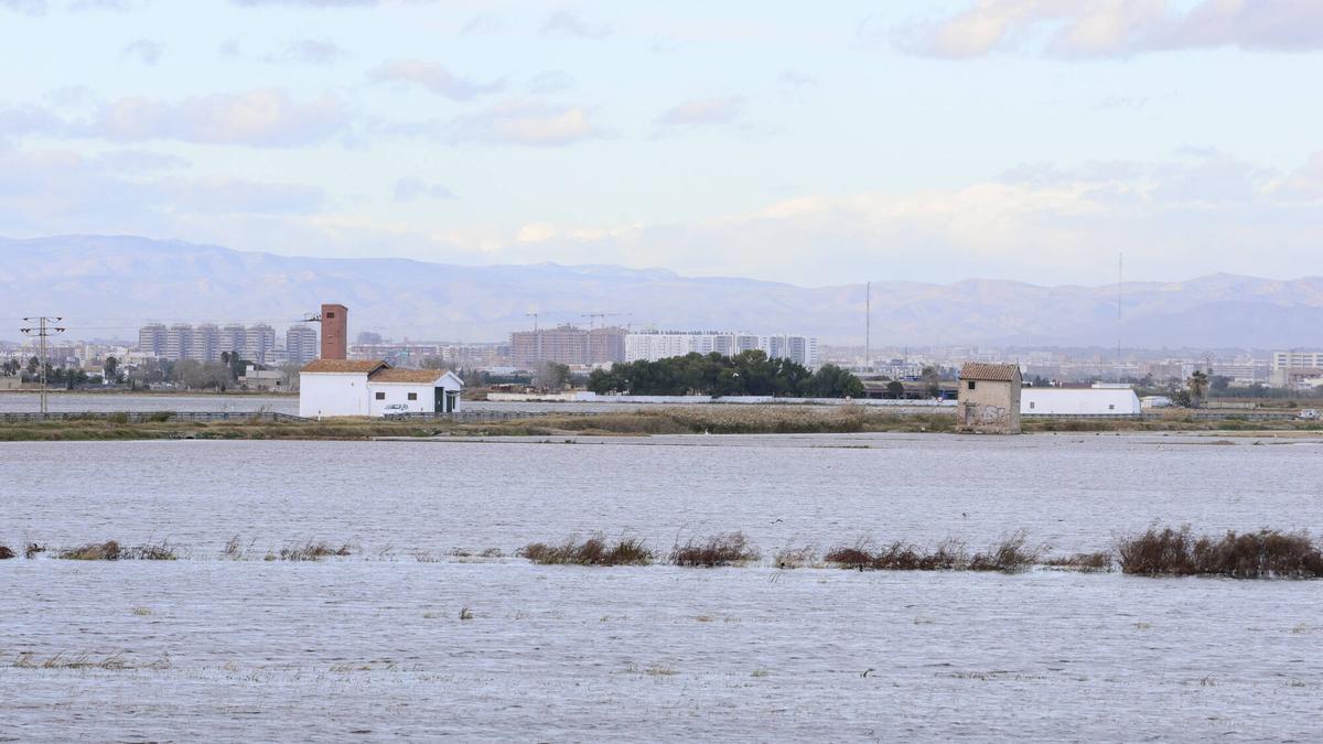 La falta de aportes y de lluvias ha hecho bajar el nivel de la Albufera hasta límites alarmantes