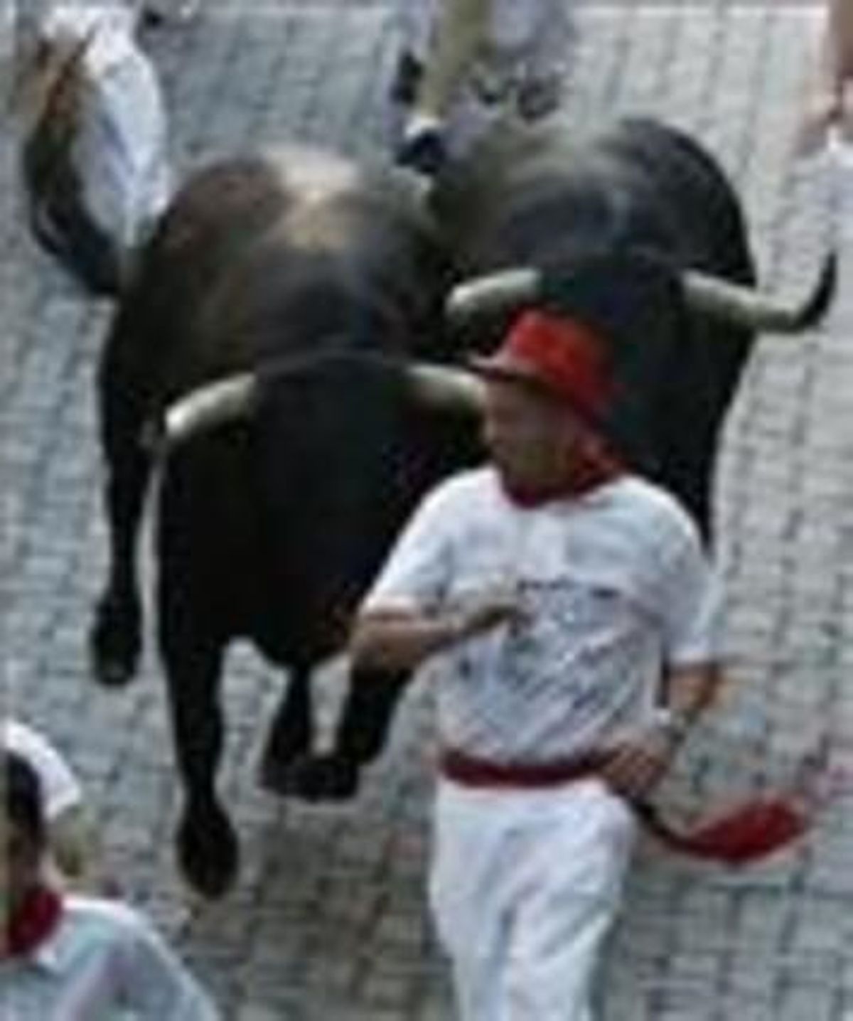 Dos toros de la ramaderia de Dolores Aguirre, darrere d’un corredor, aquest dilluns.