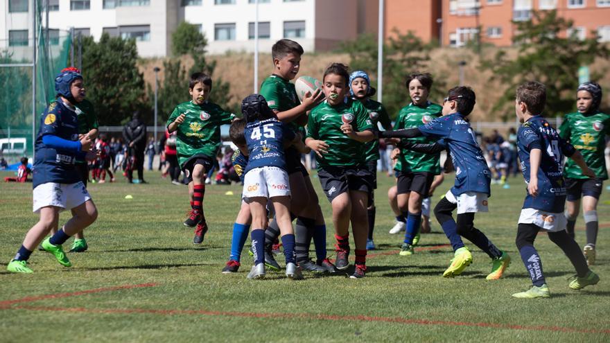 GALERÍA | El rugby más puro brilla con la &quot;II Jornada de canteras Ciudad de Zamora&quot;