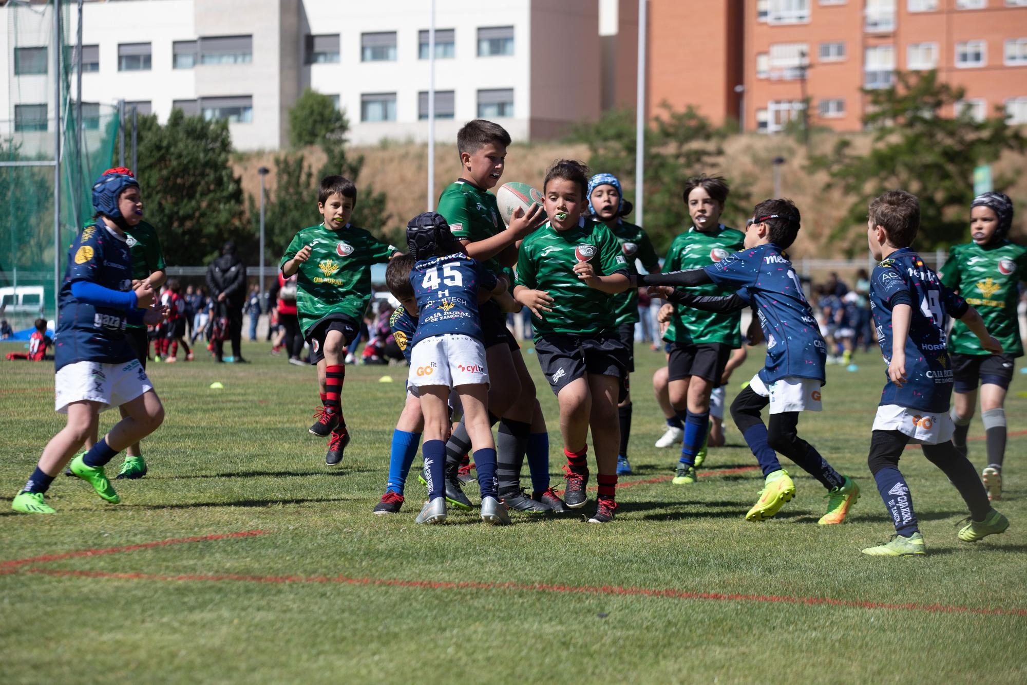 GALERÍA | El rugby más puro brilla con la "II Jornada de canteras Ciudad de Zamora"