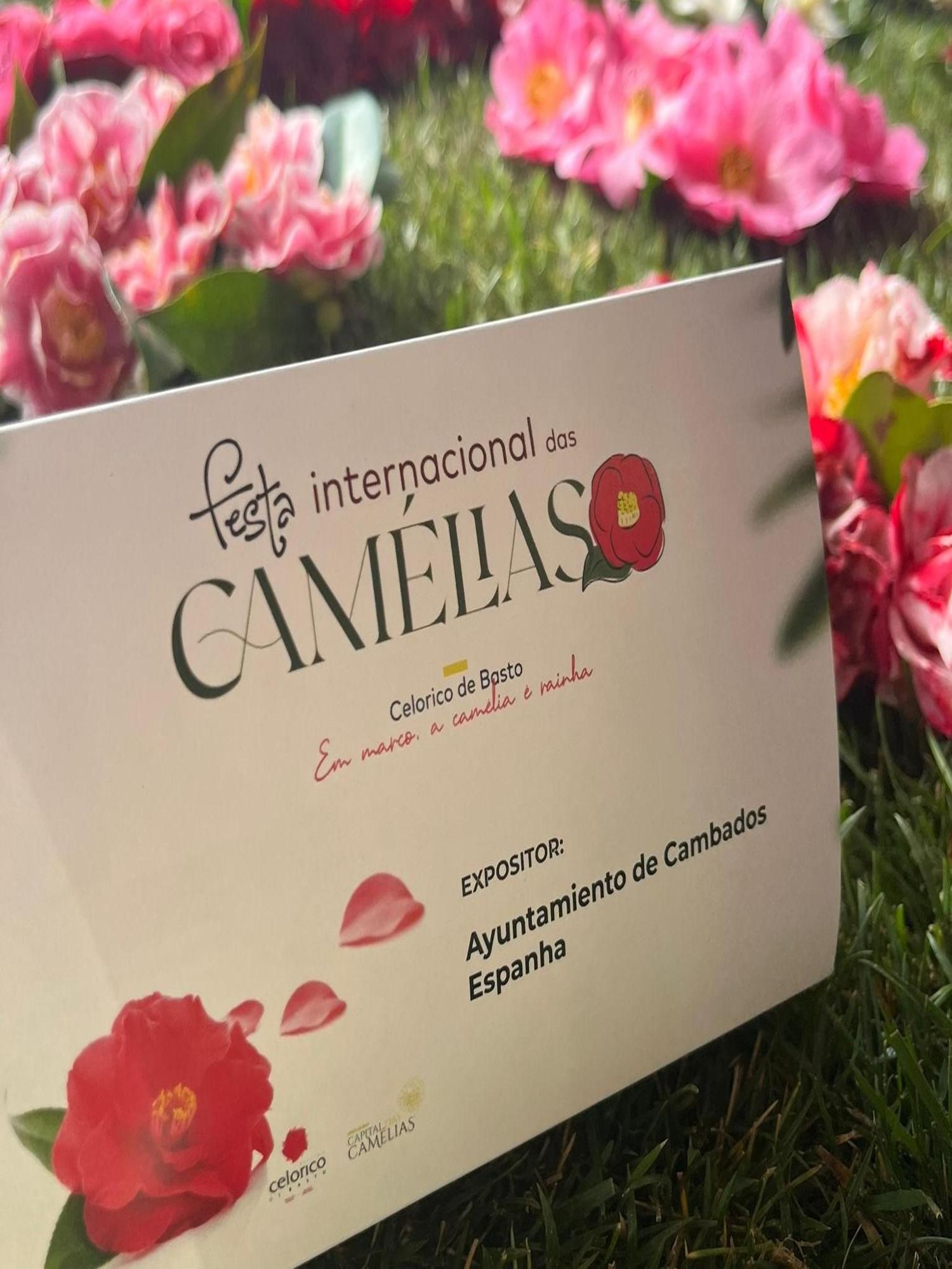 Cambados presumió de camelia en la feria de Celorico de Basto (Portugal).