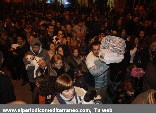 GALERÍA DE FOTOS - Vila-real celebró su tradicional ‘Matxà’