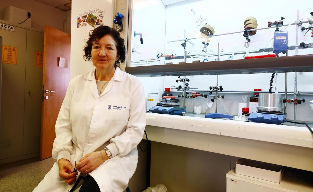 María Pilar Lamata, profesora de la Universidad de Zaragoza.