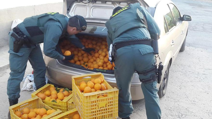 Sorprenden a cuatro personas con más de dos toneladas de naranjas robadas en Lorca