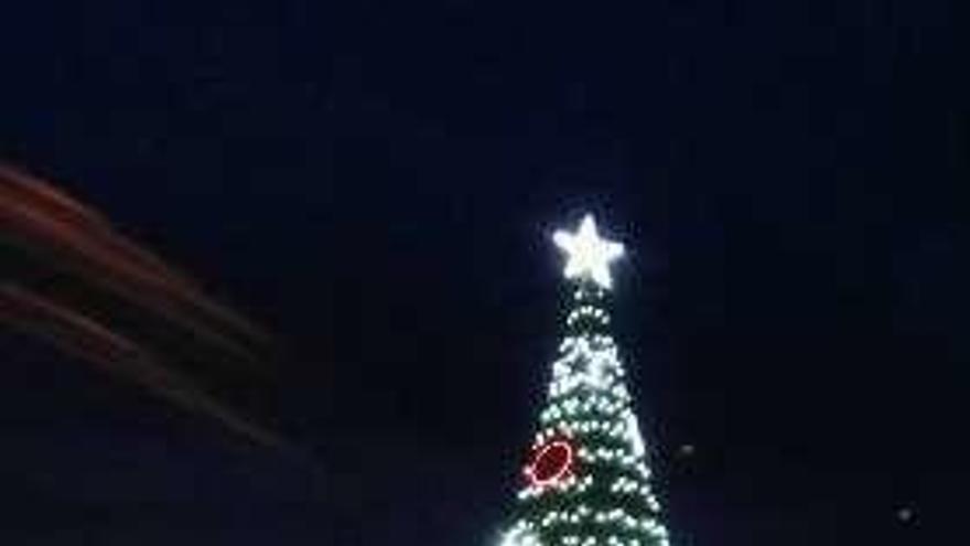 El árbol de la pasada Navidad.