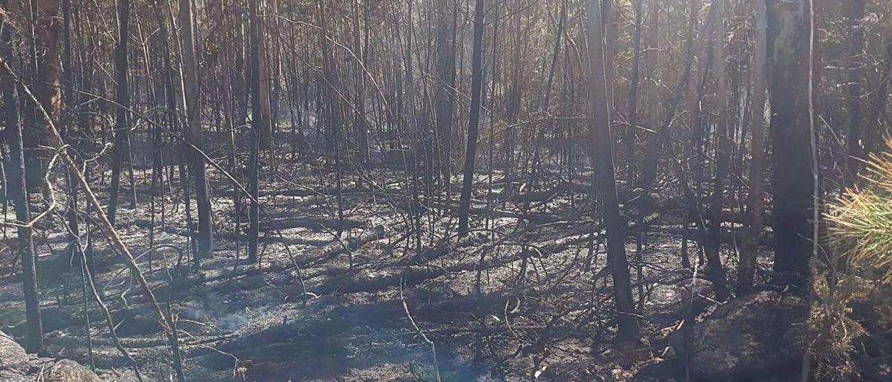 Superficie quemada en uno de los incendios que afectó a Verducido en las últimas semanas.