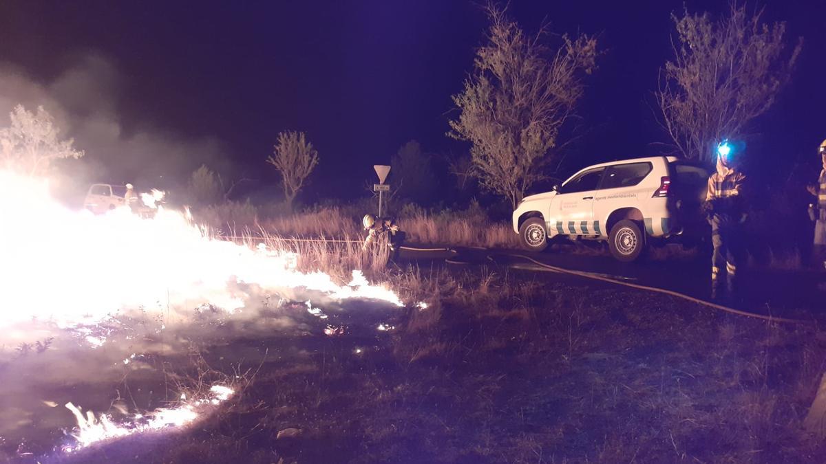 Agentes medioambientales contribuyendo, junto a profesionales de otras comunidades, en las tareas de extinción del fuego en Bejís.