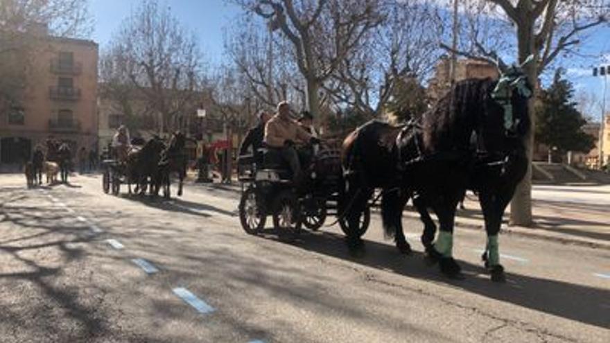 Els cavalls tornen a sortir al carrer en honor a Sant Antoni Abat