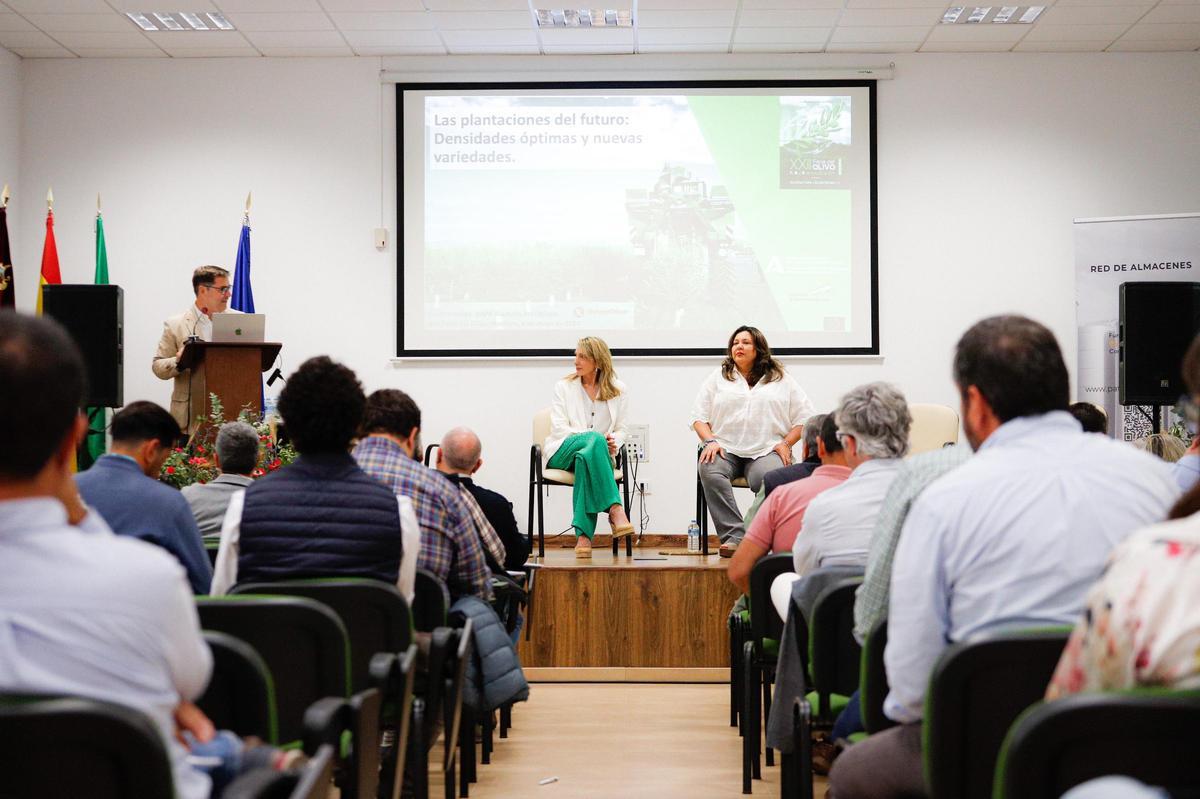 Los expertos señalan la digitalización como “barrera” ante los efectos del cambio climático en el olivar.