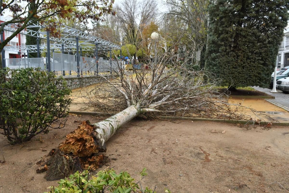 La borrasca 'Ana' deja su huella en Córdoba