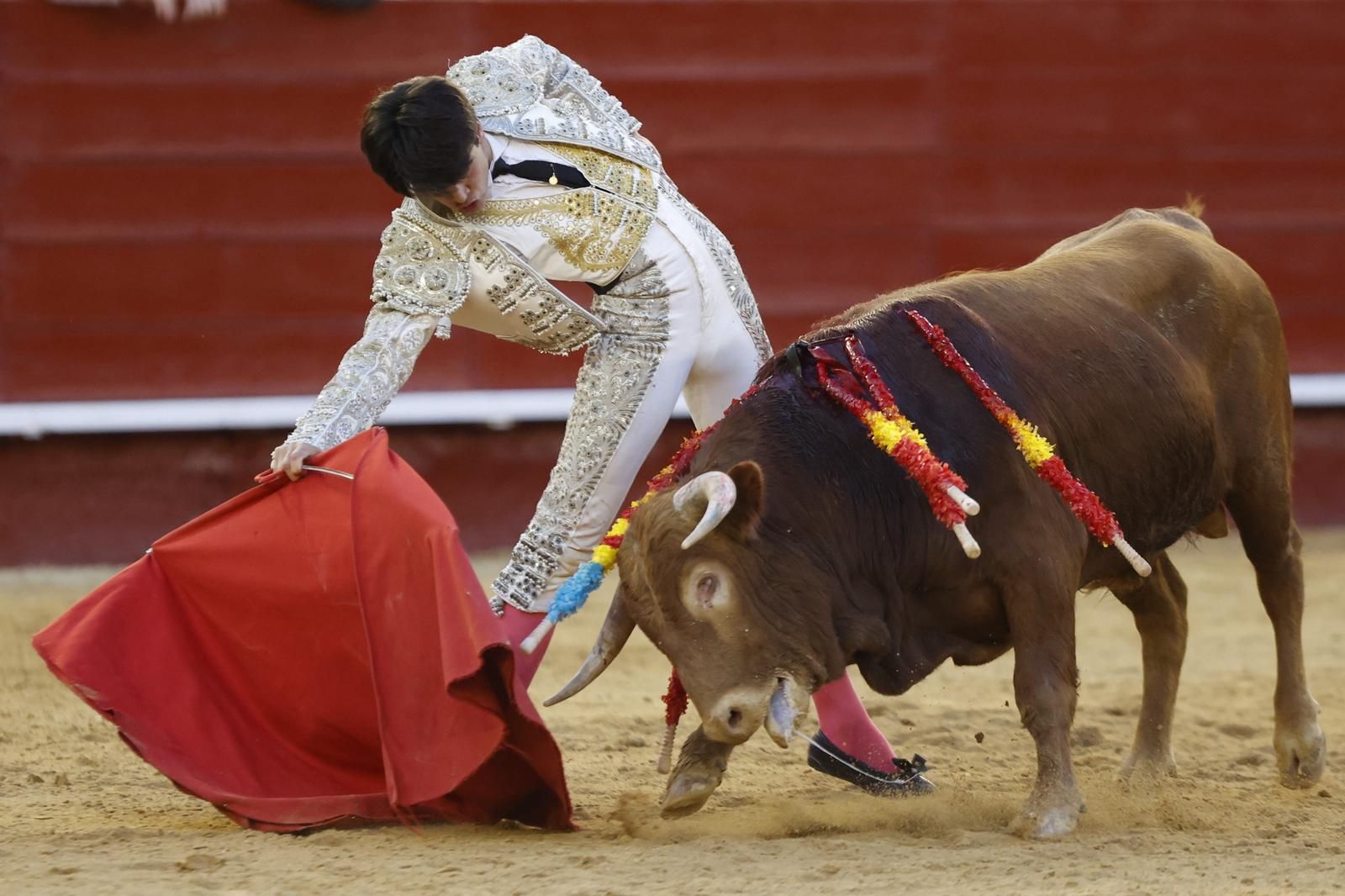 La novillada sin picadores de la Feria de Fallas, en imágenes