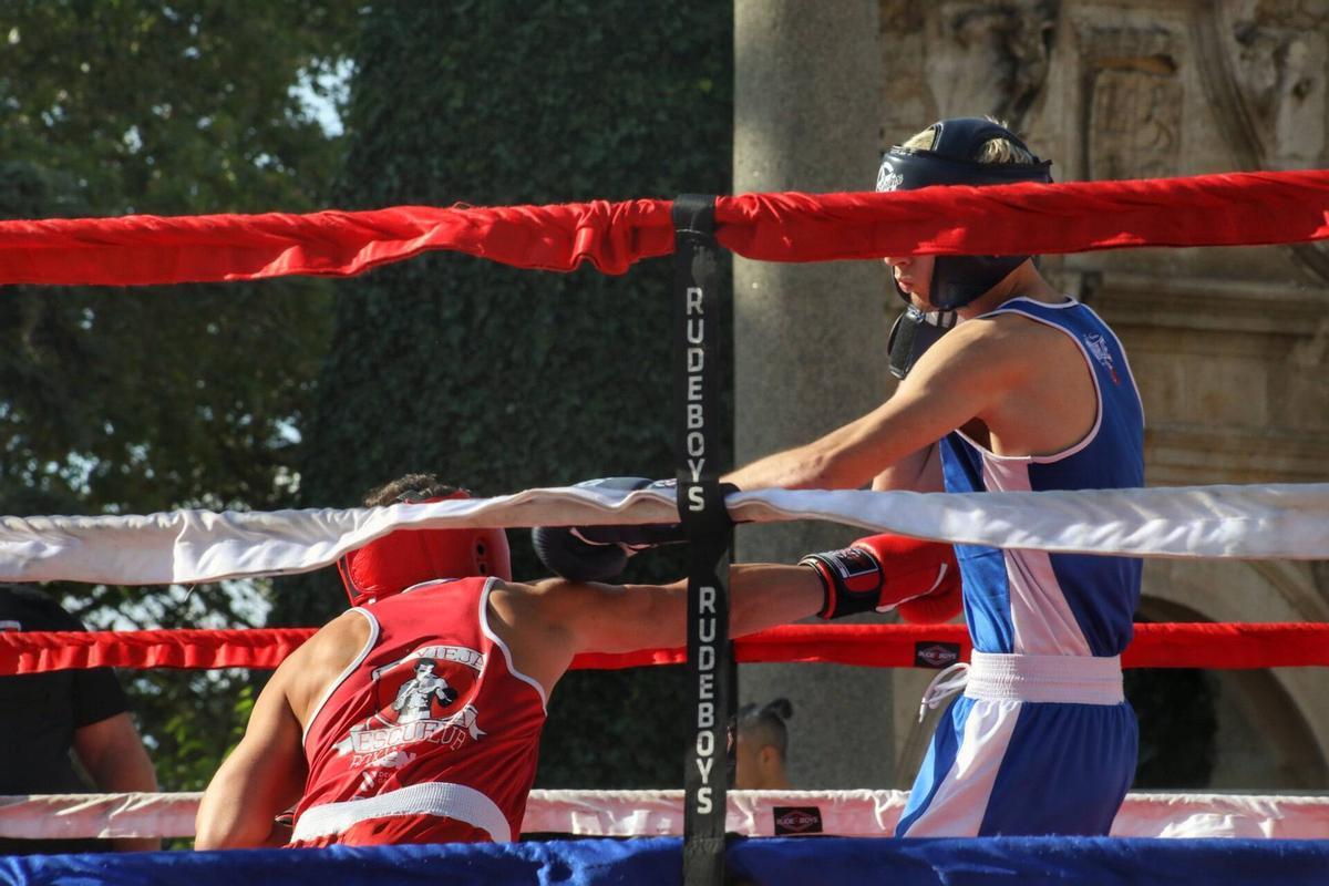 Los amantes del deporte se reúnen bajo la mirada de la Catedral zamorana