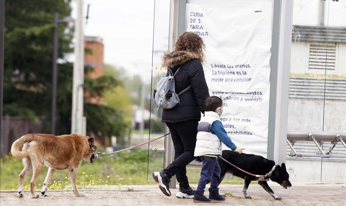 Una mujer pasea con su hijo y sus perros.