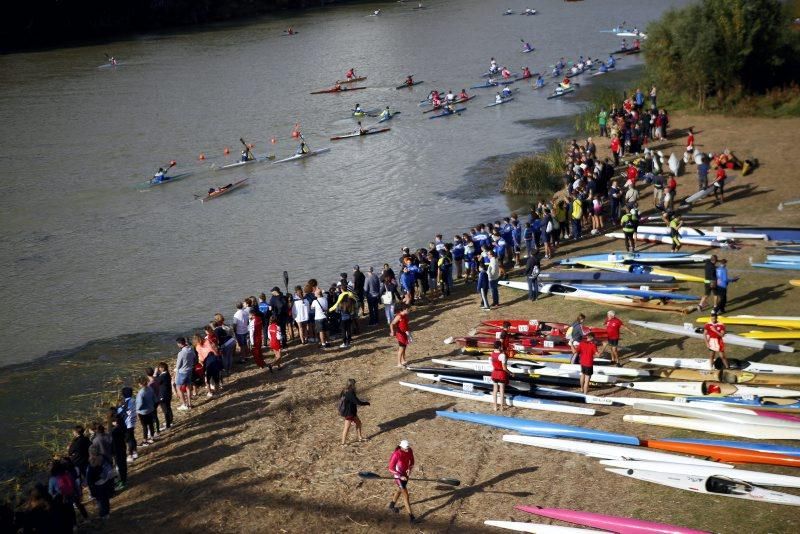 Campeonato de regatas en el Ebro