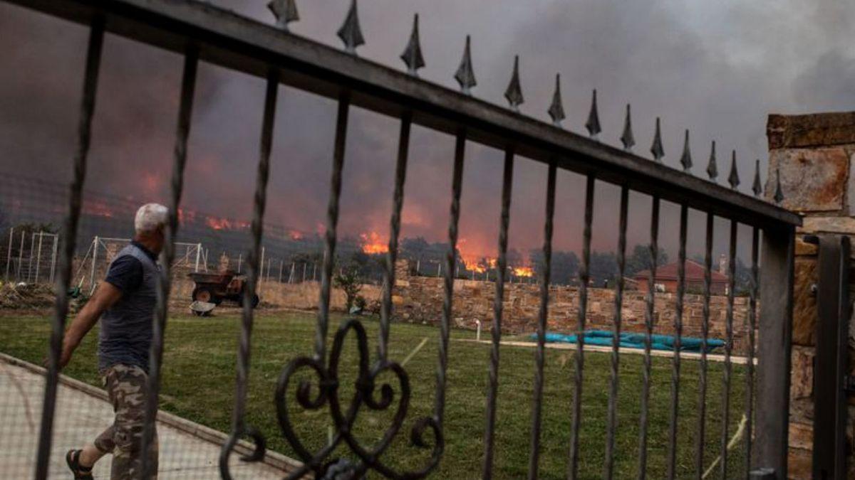 Distintos momentos del incendio en las comarcas de Alba y Tábara, que se inició ayer por la tarde en Losacio .