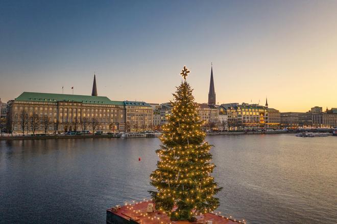 Árbol de Navidad sobre el río en Hamburgo