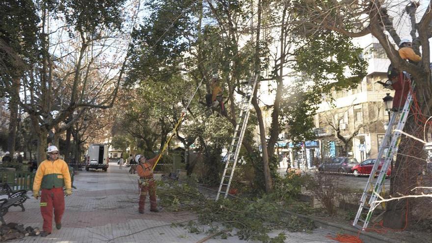 Cáceres contratará a 154 trabajadores con el Programa de Empleo de Experiencia