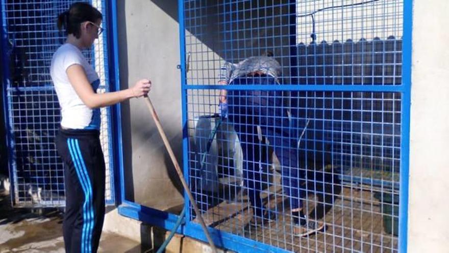 Imagen de los voluntarios en el albergue.