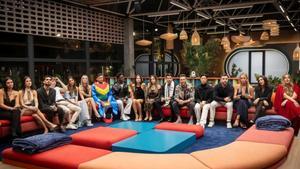 Programes i succedanis
