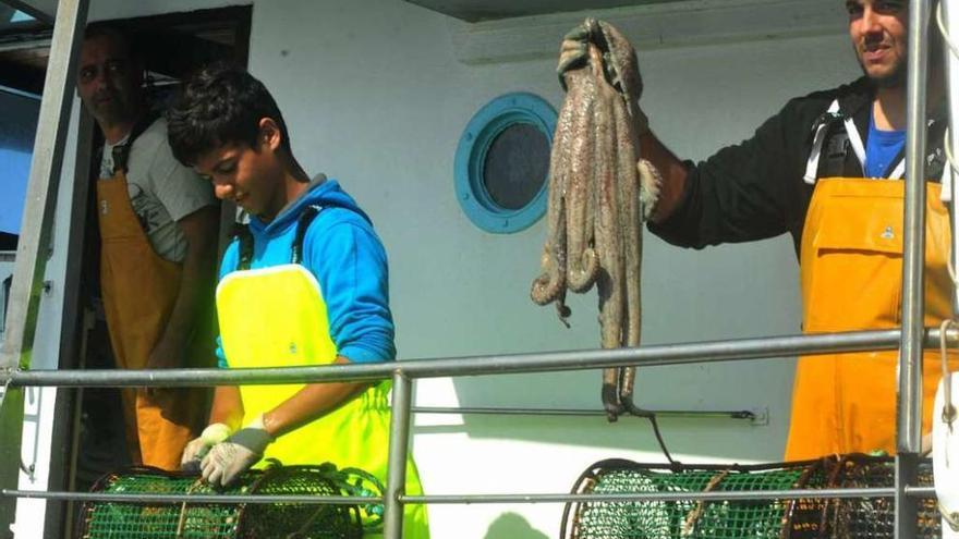 La pesca del pulpo estará vedada en Galicia entre el 20 de mayo y el 4 de julio próximos. // Iñaki Abella